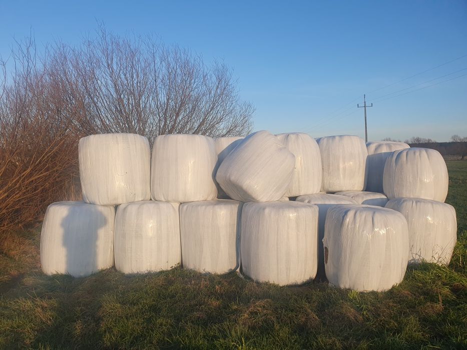 Siano ze stodoły i sianokiszonka