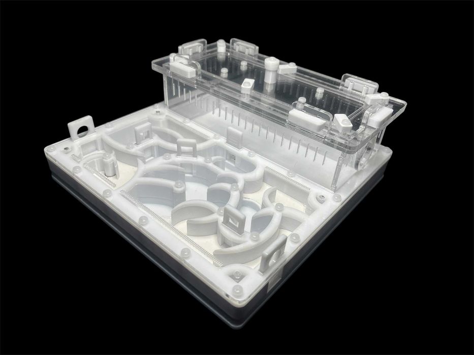 Купити мурашину ферму 20х20 см за 1100 грн – модерн для мурашок