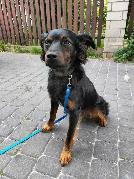 Siedlce, okolice, czyja zguba?