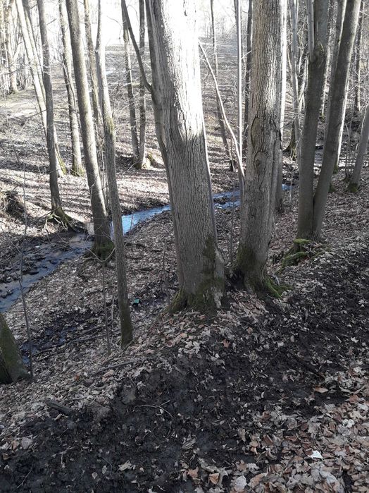 Nieruchomość rolna, pole.