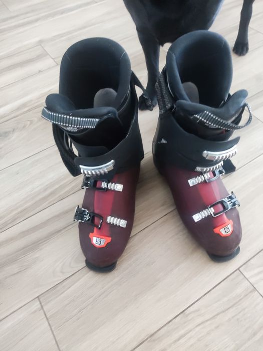 Buty narciarskie Salomon x pro r100