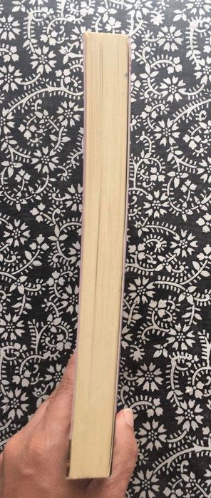 Lua-de-mel em Paris, Elizabeth Adler