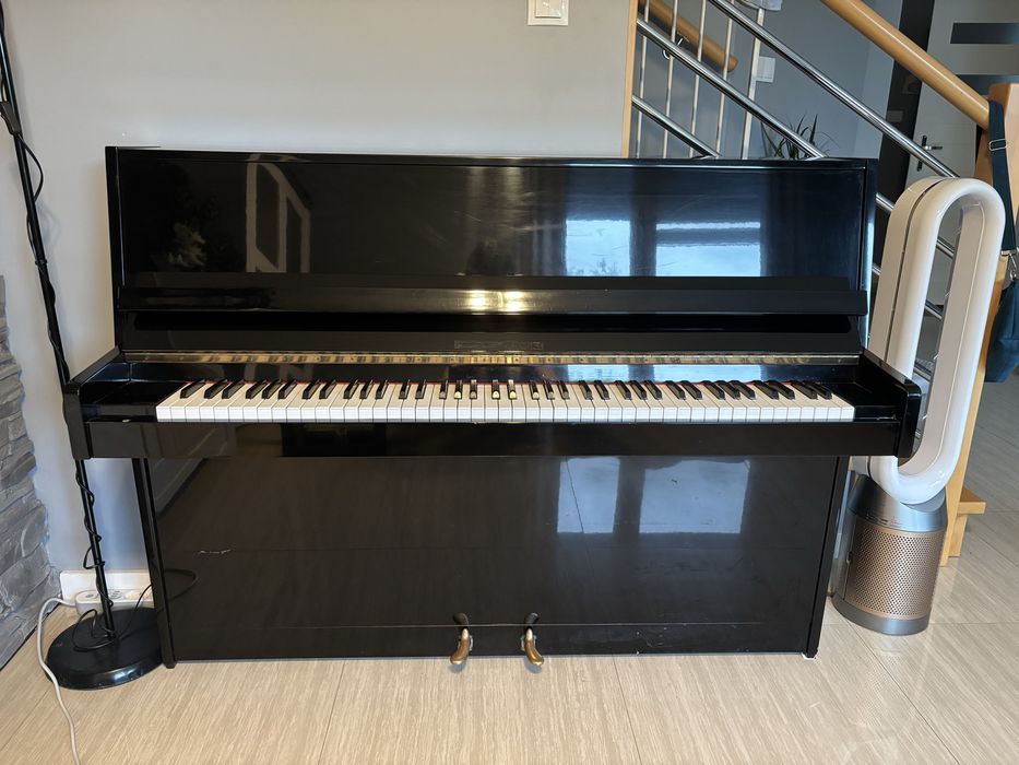 Pinino czarne Fazer + gratis stołek