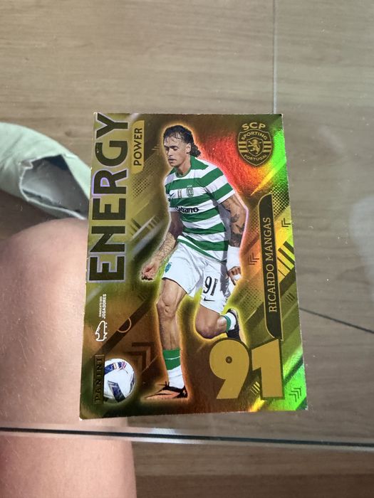 Cartas Idolos Panini