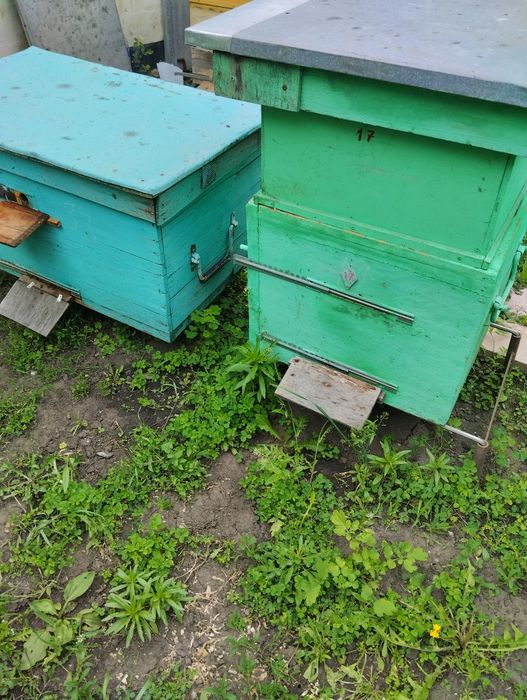 Продаж вуликів!!!