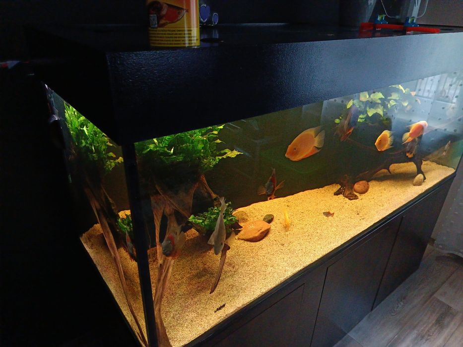 Akwarium 980 l (Zestaw)