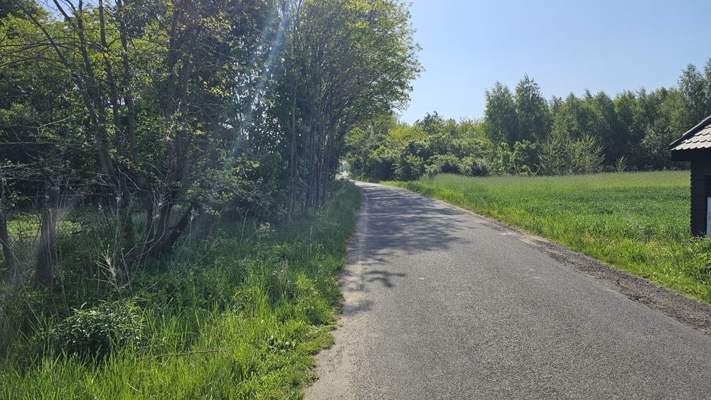 Działka 3000m2 blisko lasu / Mszczonów / Szkoła / Dojazd do WWA