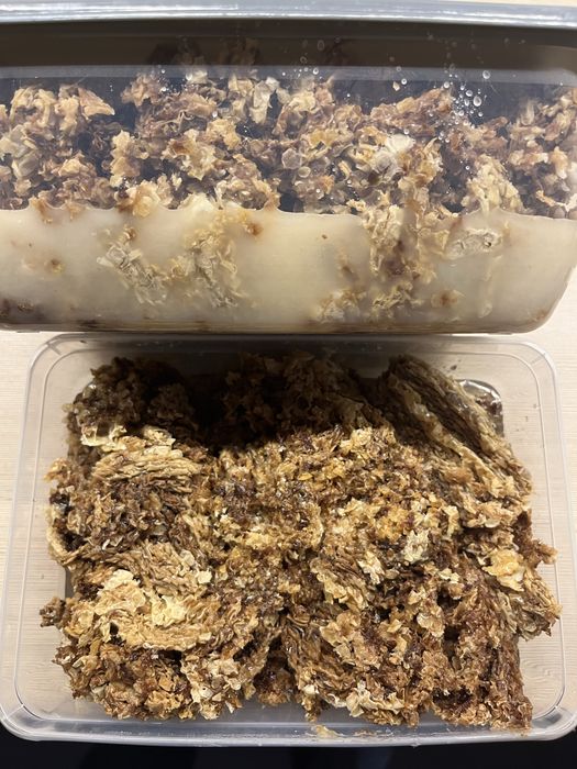 Odsklepiny miodowe 600g