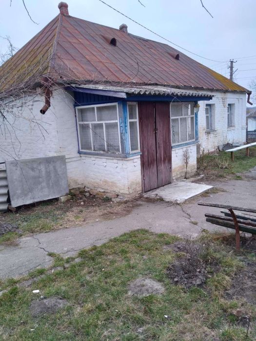 Продам будинок, садибу,хату, дачу  в селі Шапіївка  під Сквирою