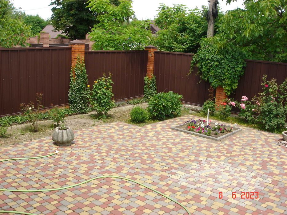 Плющ вечнозелёный. Живая изгородь.