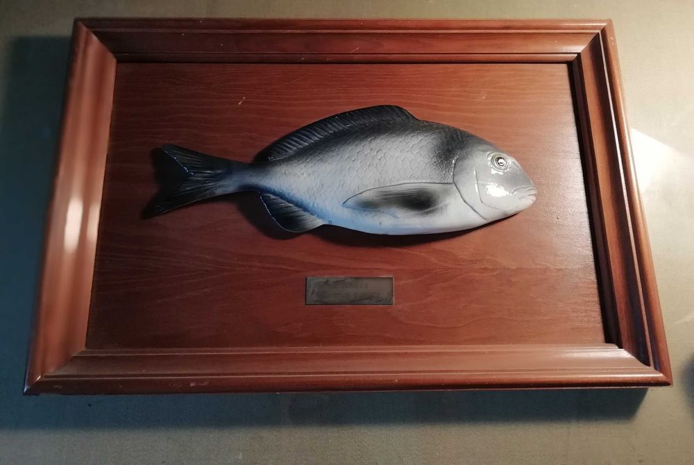 Sargo - Porcelana aerogravada sobre madeira - bellissima execução