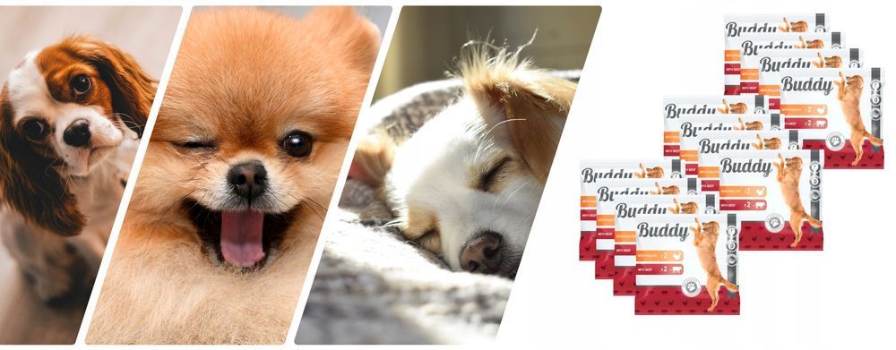 44X100G Karma Mokra Dla Psa Buddy Mix Smaków  Pełnoporcjowa