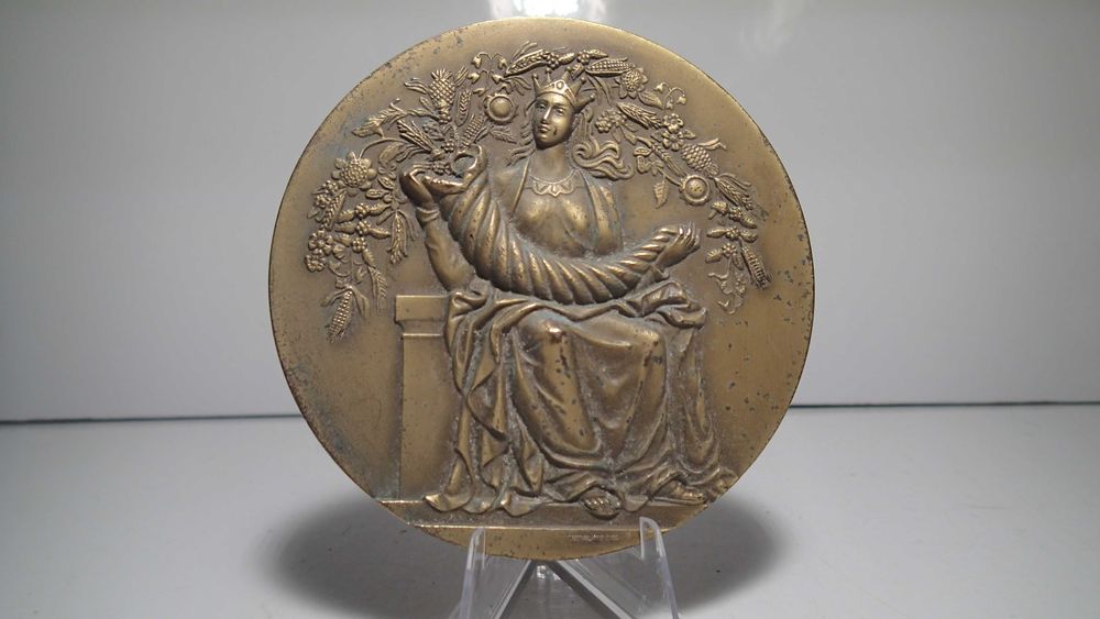 Medalha de Bronze  10º Aniversário SOCARMAR