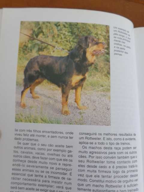 Livro sobre a raça de cão  " O Rottweiler "