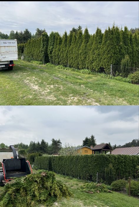 Przycinanie Żywopłotów, Pielęgnacja Ogrodów
