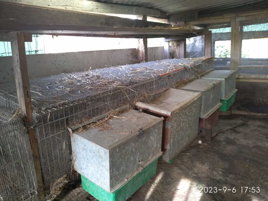 Coelheiras metalicas