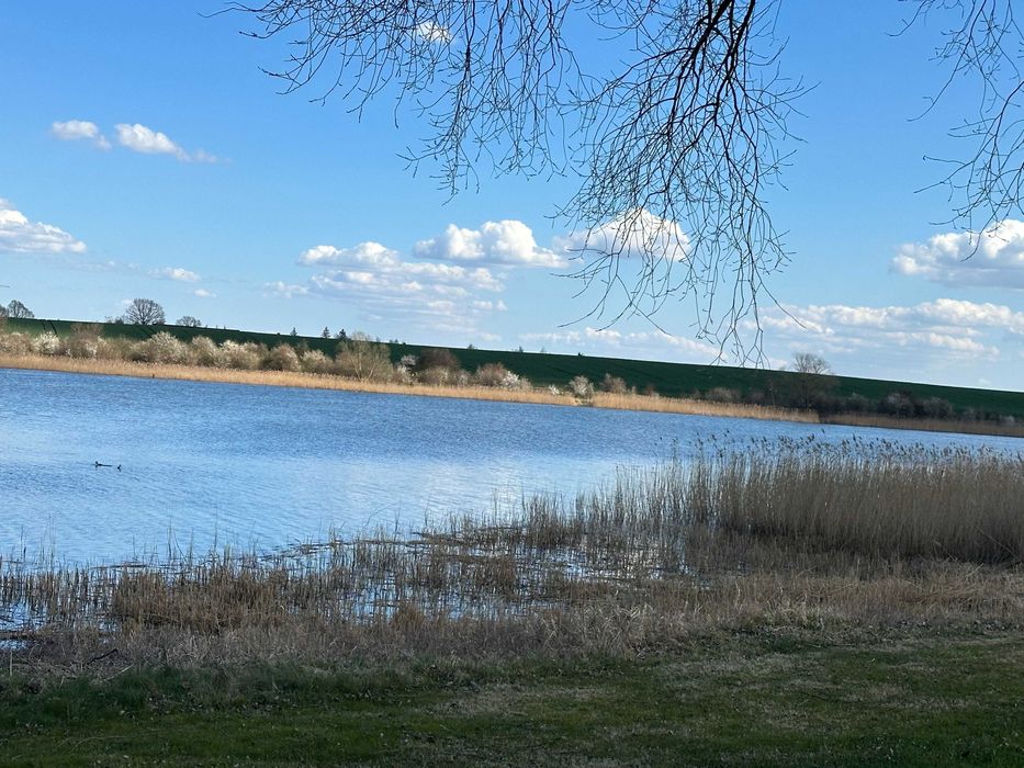 Sprzedam atrakcyjne działki budowlane nad jeziorem w Gm. Kłecko !