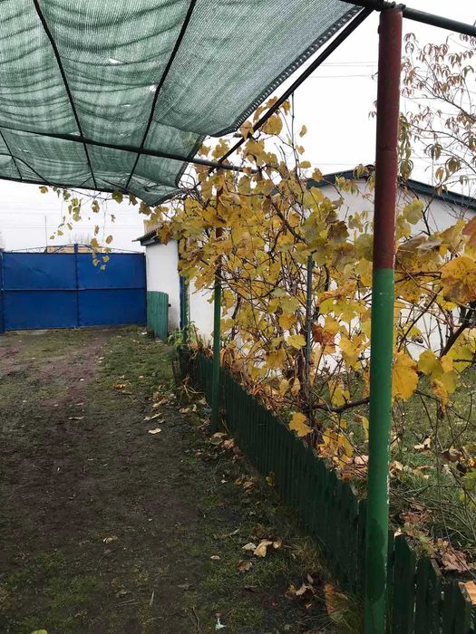 Продам дом Чугуев