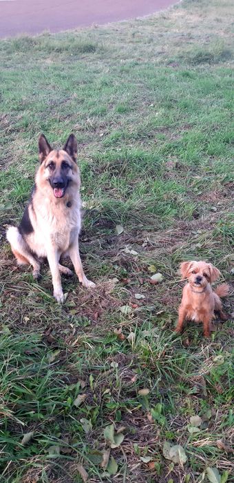 Zaginęła Malina - NAGRODA!