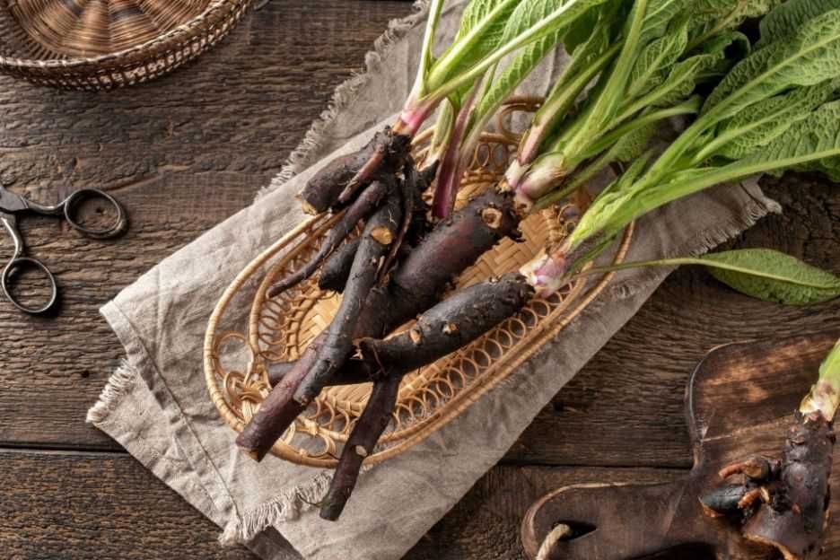 Maść z Żywokostu. Naturalna na Gęsim smalcu. Mocna i skuteczna, 190 ml