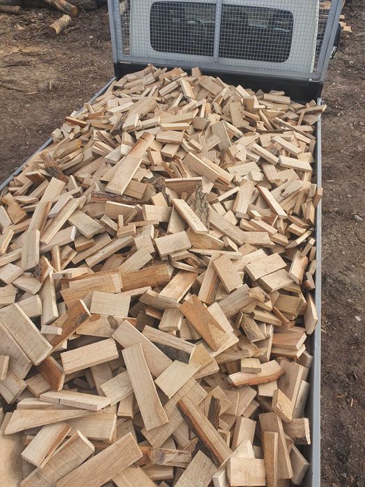 Drewno dębowe, (sęki dębowe)