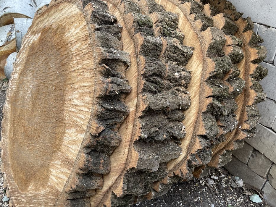 Срезы тополя обменяю