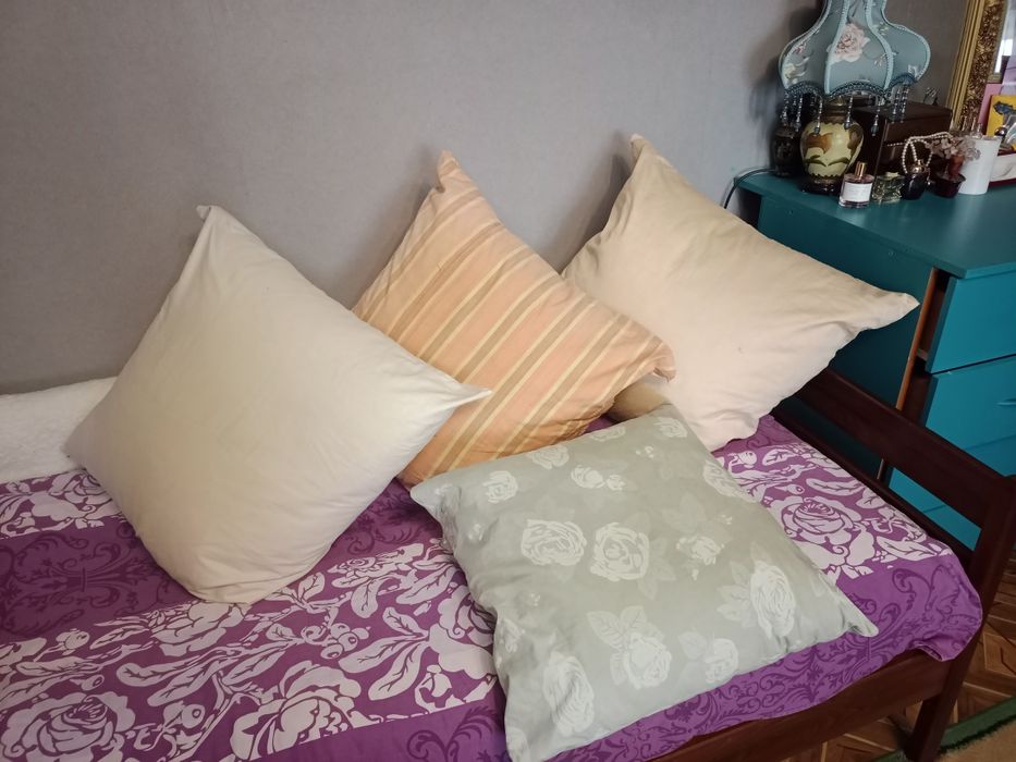 Гусяче пір'я ,скубане,  (3 подушки), вага чиста 6.1 кг  + БОНУС 55*55 з курячим пір'ям