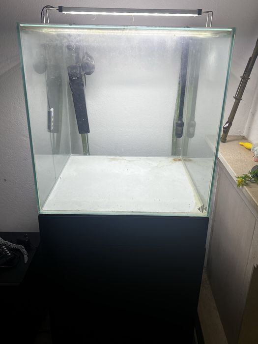 Aquario cubo 50cm tudo incluido