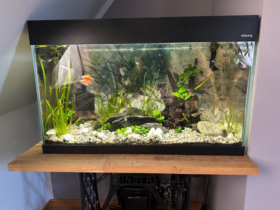 Akwarium aquael wraz z całym wyposażeniem 140 l