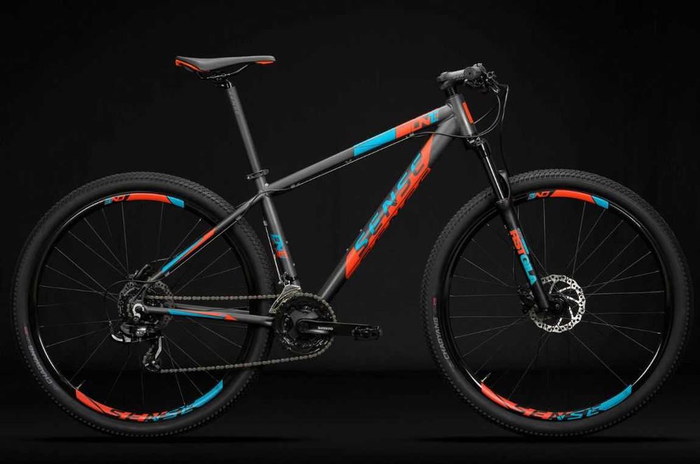 Bicicleta berg
