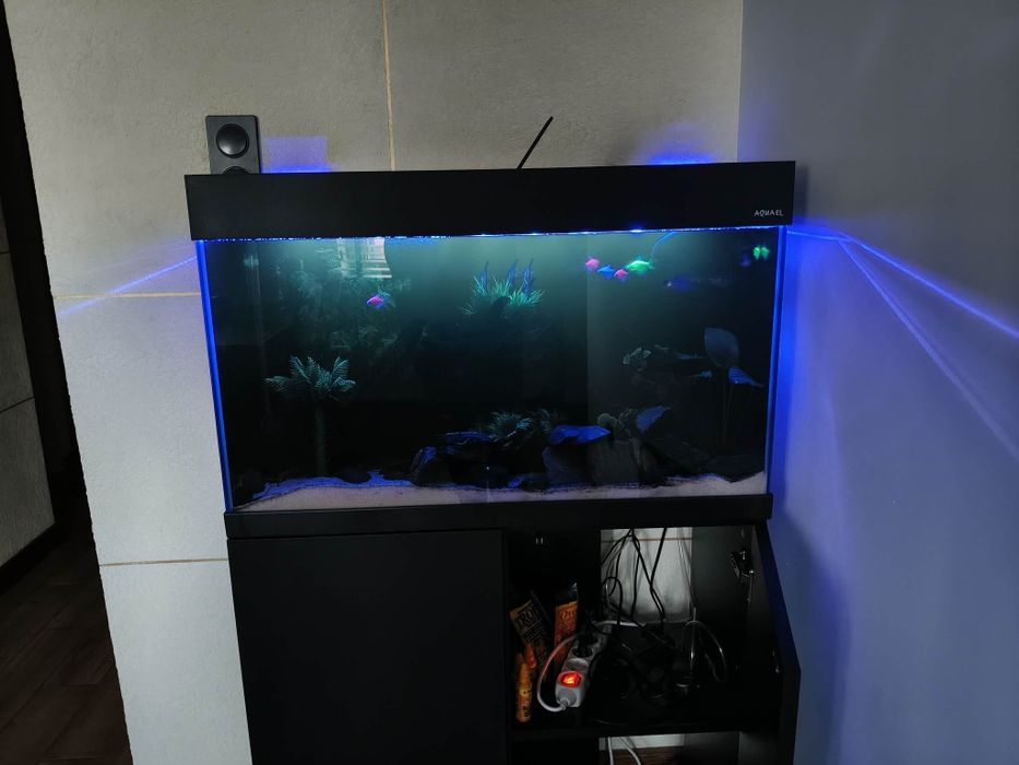 Akwarium Aquael OptiSet 125z  Wyposażenie i rybkami