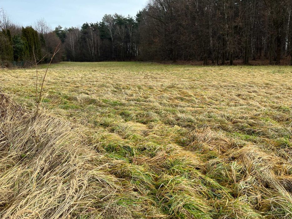 Działka 57 arów w spokojniej okolicy w Regulicach blisko Grojca