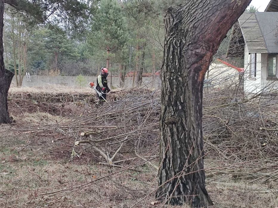Oczyszczanie działek, Mulczer leśny, Karczowanie, Rekultywacja terenu