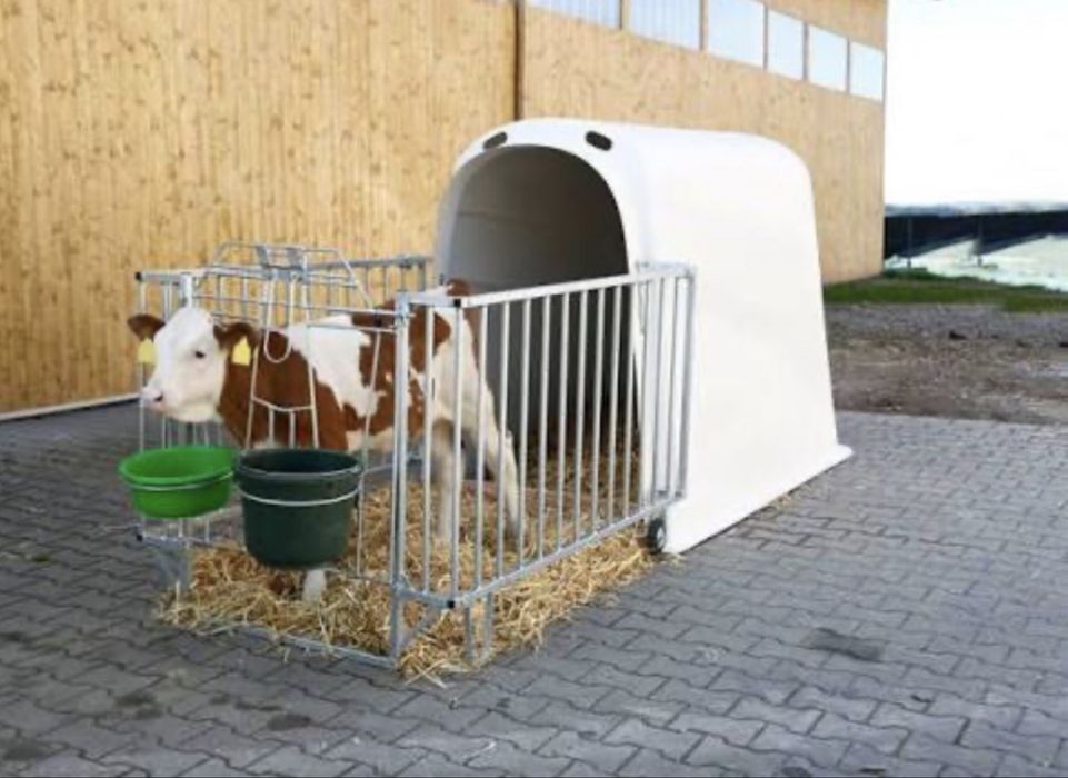 Budki igloo dla cieląt boxy wybieg domki iglo
