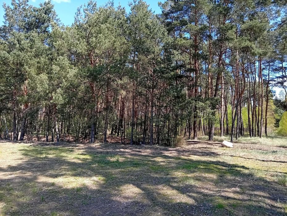 Działka budowlana z linią brzegową Jeziora Wolskiego - Wiewiórczyn - View 2