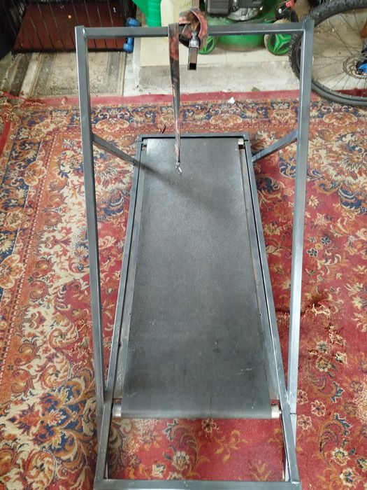 Sprzedam bieżnie dla psa