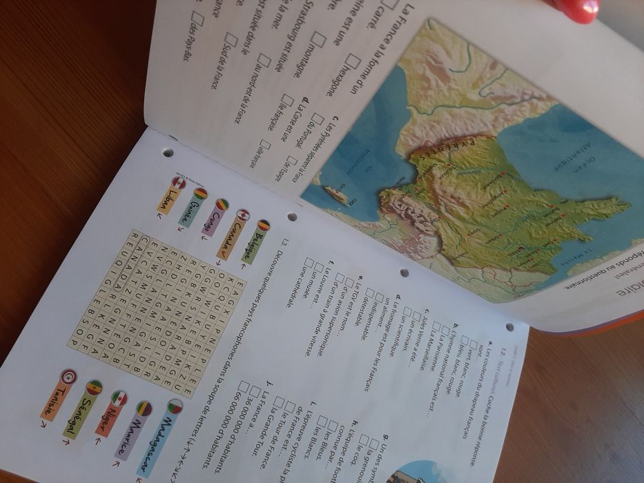 Livro fichas francês 9 ano Mots clés