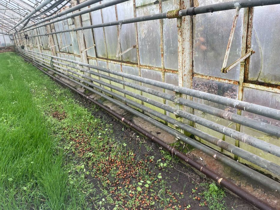 Sprzedam rury z ogrzewania szklarnii