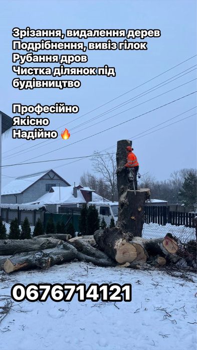 Зрізання дерев, обрізка, подрібнення, вивіз, зріз, обрізка дерев, чистка під будівництво