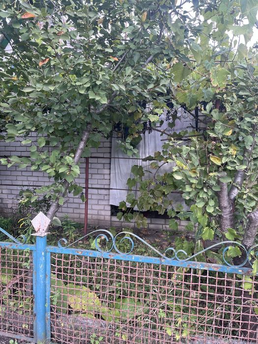 Продам дачу в городе