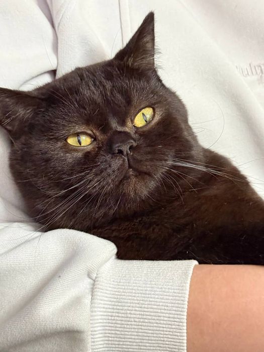 Чорний мармуровий хлопчик шукає собі дівчинку.