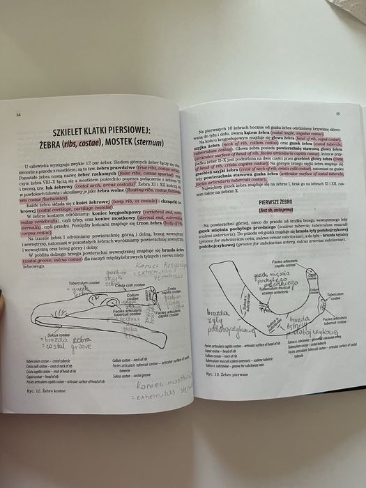 Anatomia Andrzej Skawina. Wszystkie 8 tomów, w tym 6 nowych 2 używane