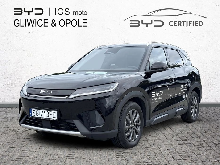 BYD Pozostałe BYD