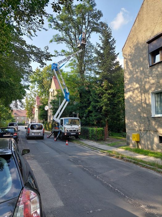 Frezowanie pni Przycinanie,wycinanie drzew  usługi podnośnikiem zwyżka