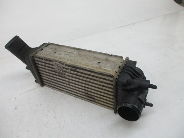Radiador do intercooler PEUGEOT 307 (3A/C)