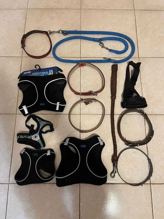 4 Szelki dla Psa XL, M, S, 2 Smycze, 5 Obroży i Regulowany Kaganiec