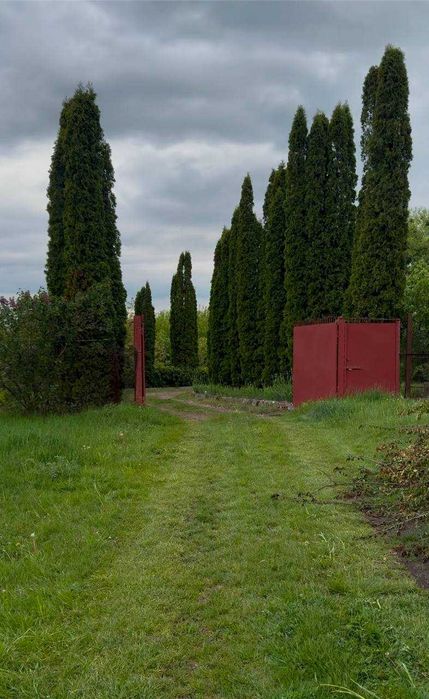 № 13393 - Продаж цегляного будинку, с.Ліщин!