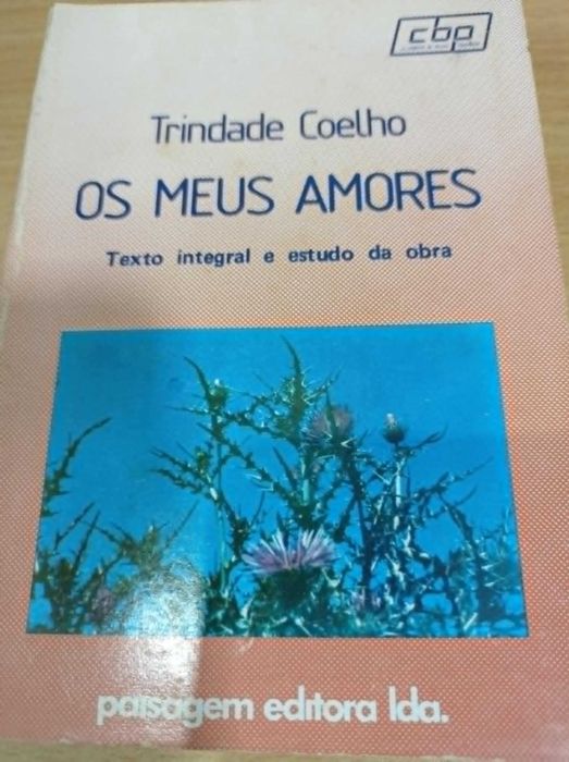 vendo livro os meus amores