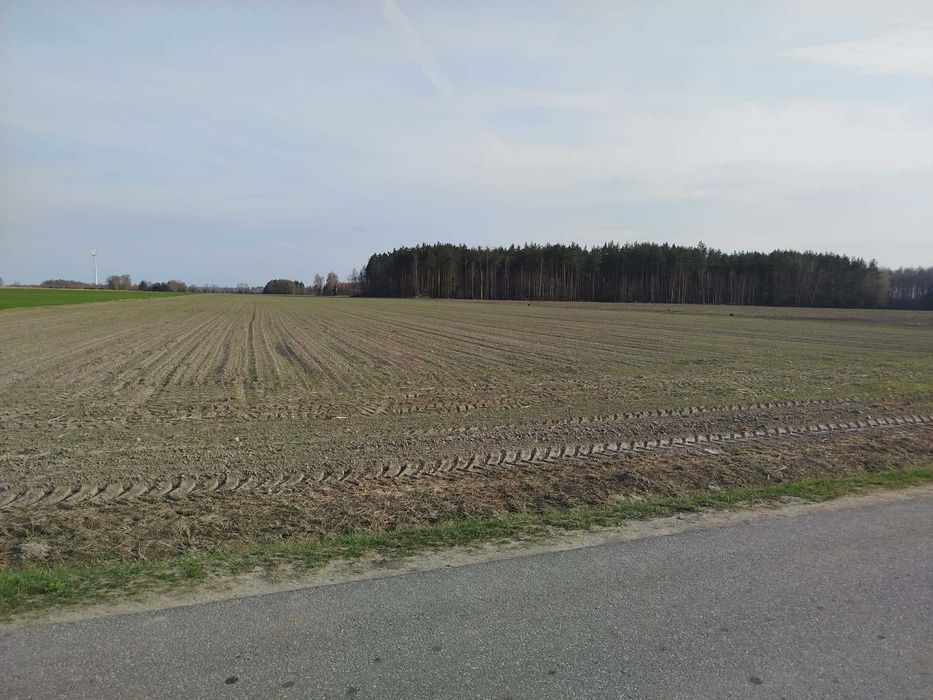 Działki budowlane Malczyn gmina Nasielsk 19/1-19/8 - Widok 6