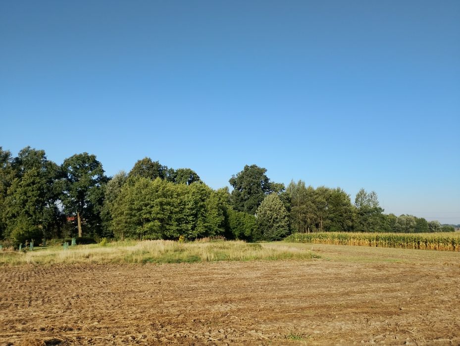 Sprzedam działki budowlane